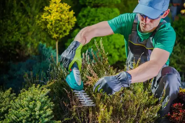 landscaping services Frankenmuth